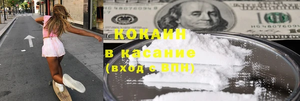 гидра Надым