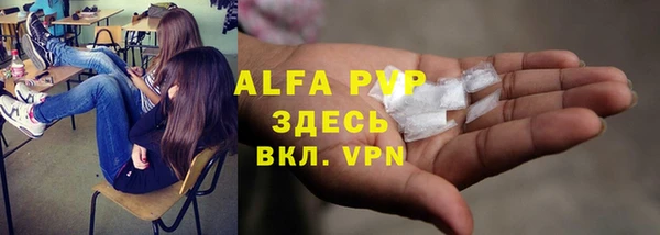 гидра Надым