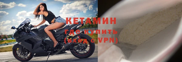 гидра Надым