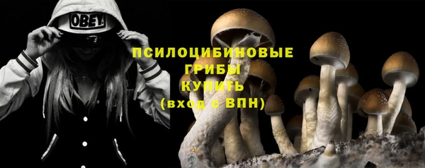 гидра Надым