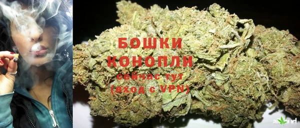 ПСИЛОЦИБИНОВЫЕ ГРИБЫ Губаха