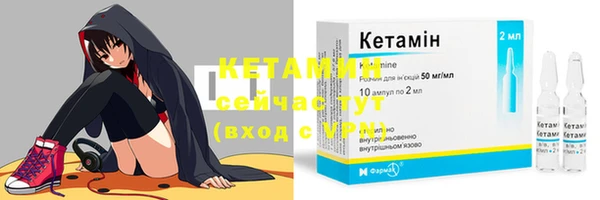 гидра Надым