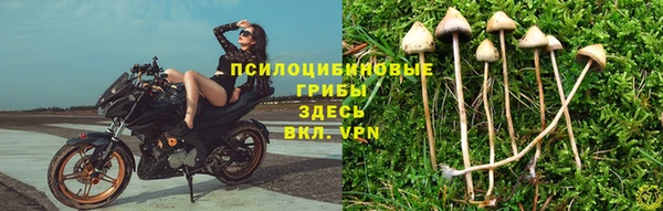 марки lsd Навашино
