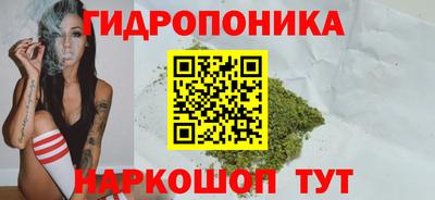 гашик Славгород