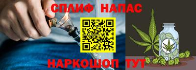гашик Славгород
