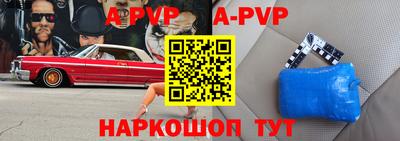 гашик Славгород