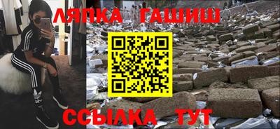 гашик Славгород