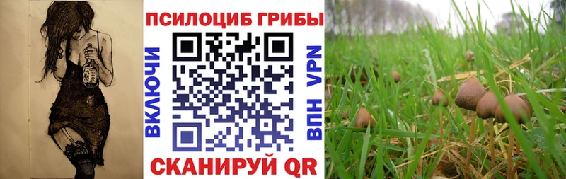 Галлюциногенные грибы MAGIC MUSHROOMS  где продают   это официальный сайт  Мегион 