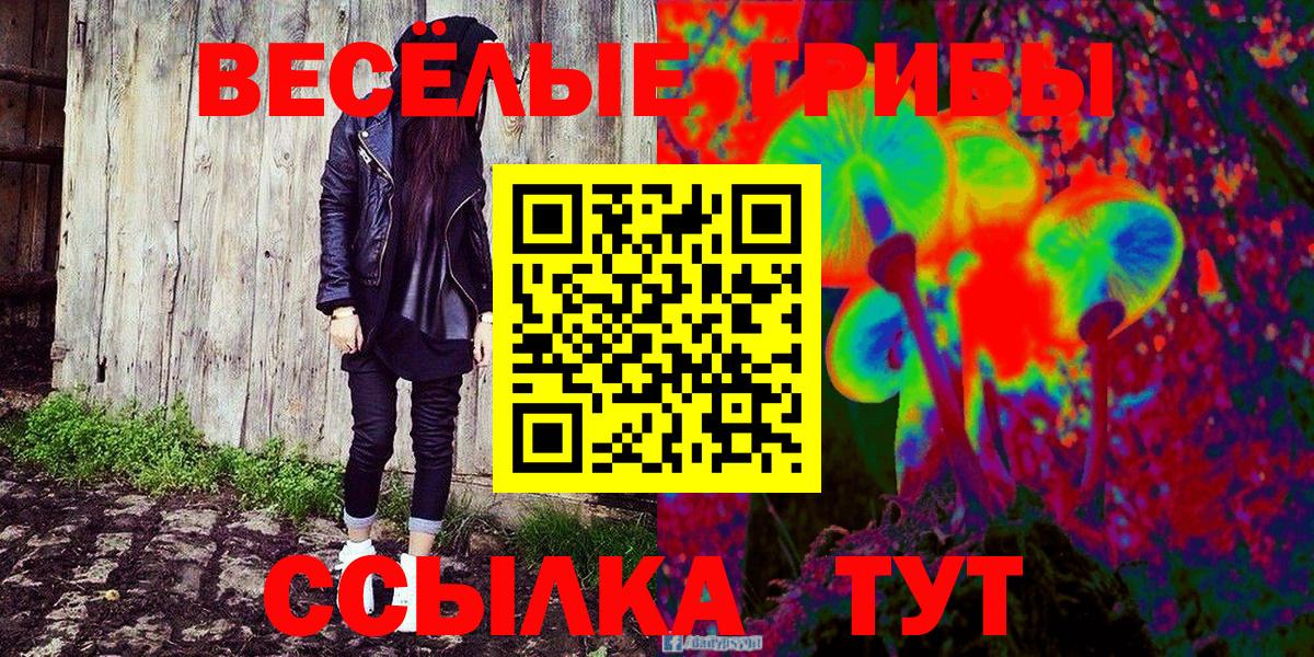 Псилоцибиновые грибы Cubensis Мегион